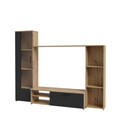 Set mobilier living 4 piese Raalte, Bedora, 220.4x41.3x177.5 cm, PAL/plastic, stejar/negru