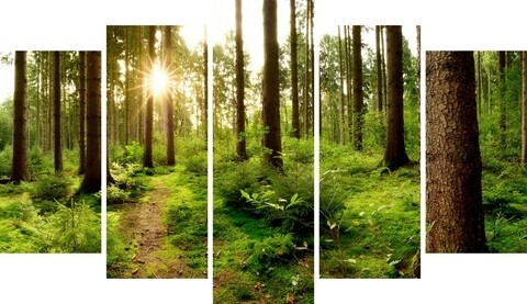 Set 5 tablouri decorative Forest 2, Homemania, lemn de pin/poliester