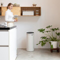 Cos de gunoi cu soft touch, Brabantia, Touch New, 30 L, 32x29.5x72 cm, otel, bej