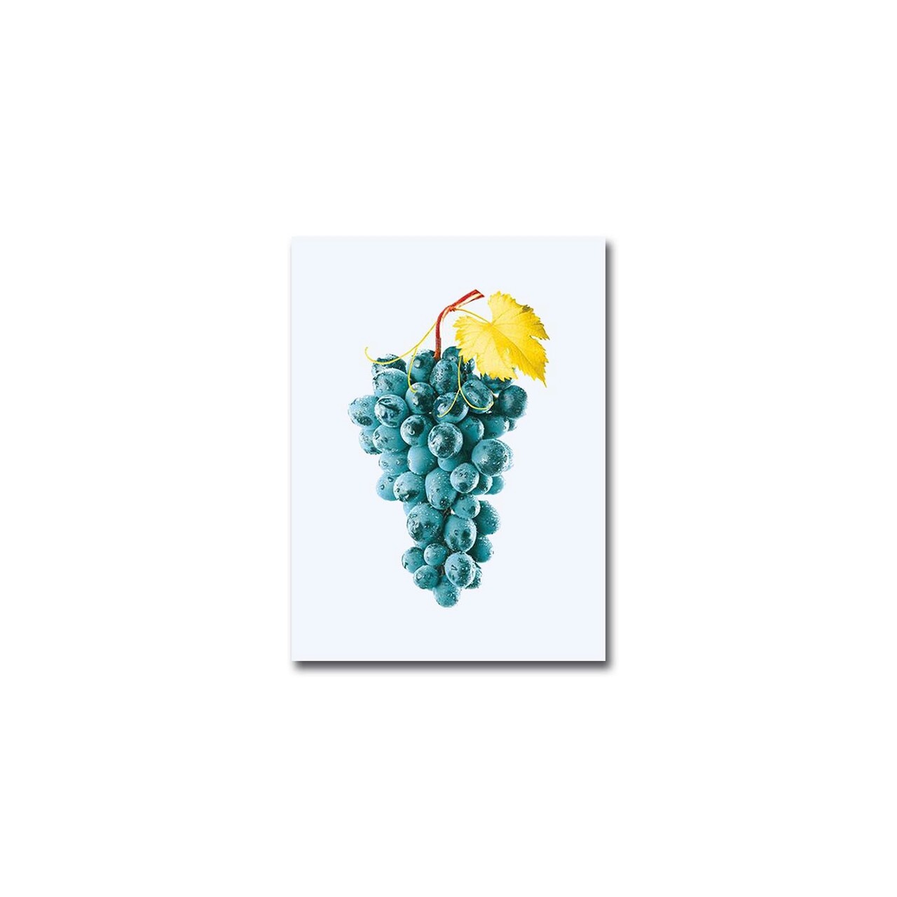 Tablou decorativ, 2838CIZC-09, Dimensiune: 28 x 38 cm, Multicolor - view 3