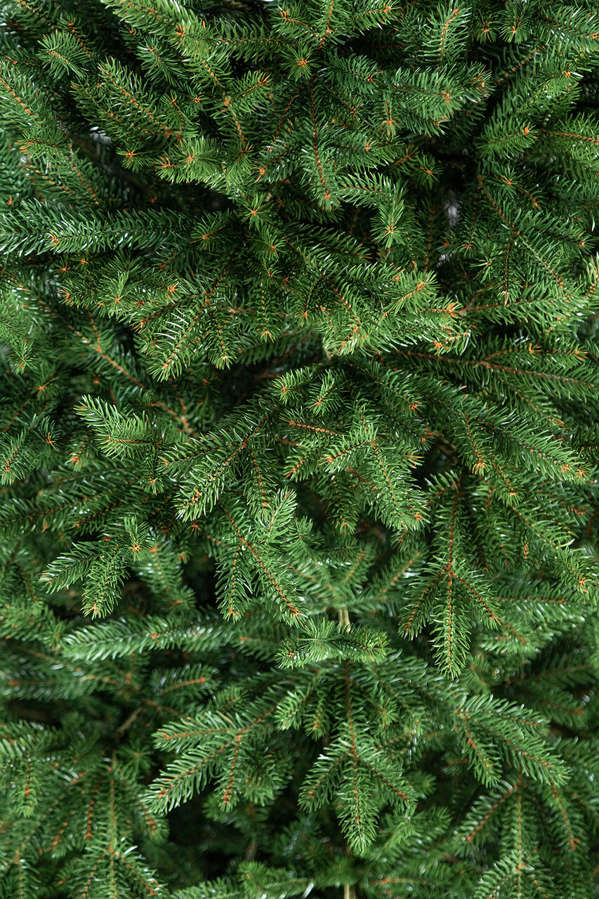 Brad artificial Christmas Deluxe by Sersimo, Alpin Select, integral 3D, 230cm — imaginea 26