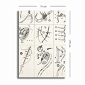 Tablou decorativ, 70100KANDINSKY010, Canvas, Lemn, Multicolor