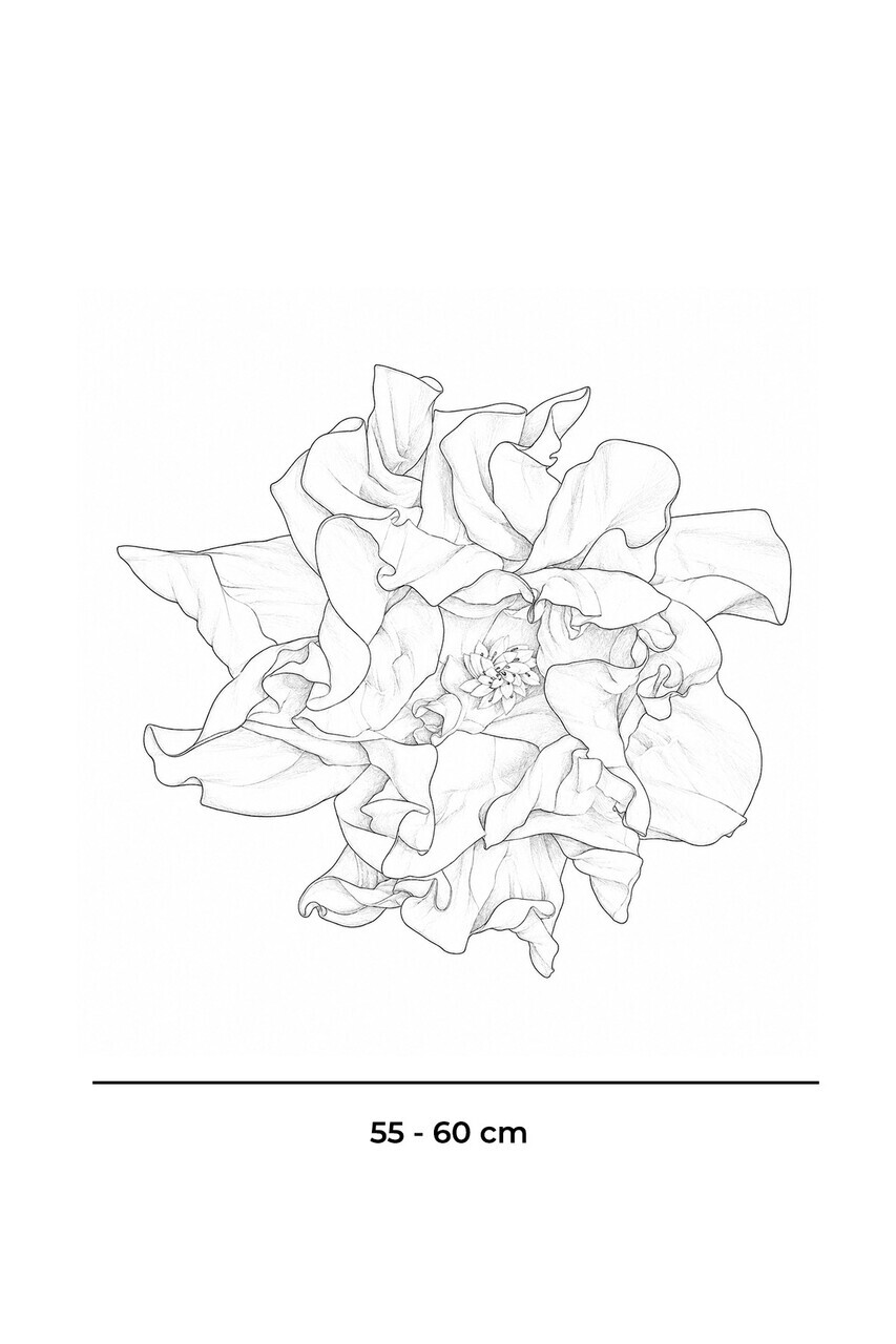 Decoratiune de perete, DM0019, Dimensiune: Ø55-60 cm, Alb — imaginea 4