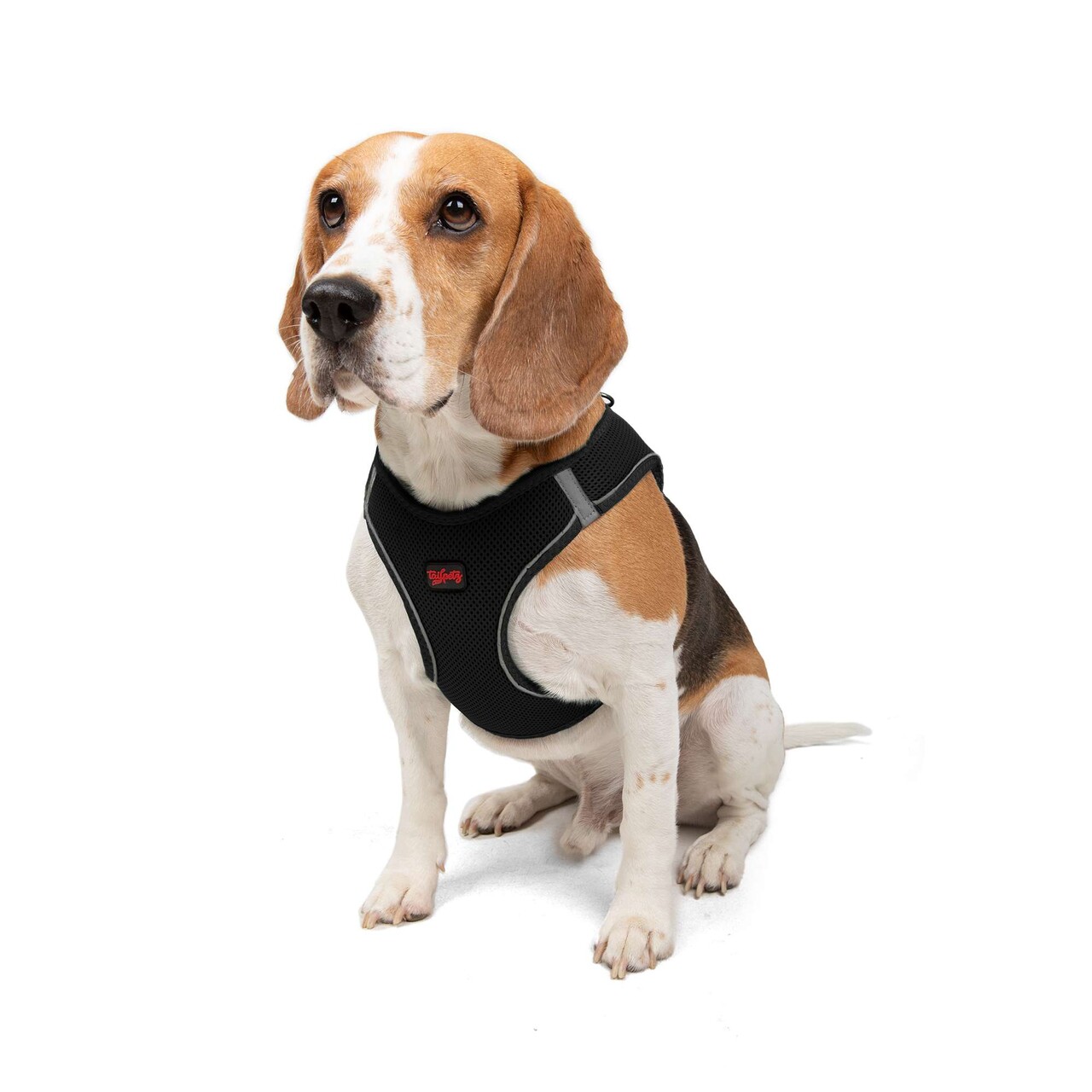 Ham pentru câini, Paws &amp; Whiskers, Air-Mesh, Poliester, Negru - view 3