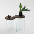 Set masute de cafea, Neostill, Serenity 2, Sticla temperata, Transparent/Nuc