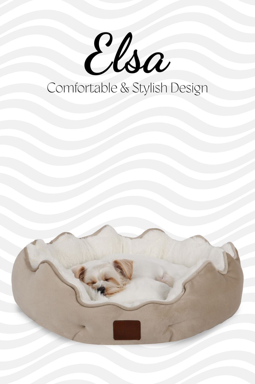 Pat pentru animale de companie, Paws &amp; Whiskers, Elsa Dog S, Material exterior: 100% poliester, Crem - view 2