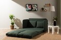 Canapea extensibilă cu 2 locuri, Futon, 859FTN2876, Metal , Verde