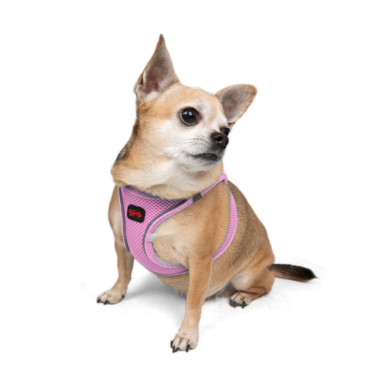Ham pentru câini, Paws &amp; Whiskers, Air-Mesh, Lila - view 2