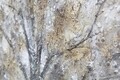 Tablou decorativ Tree Dark - B, Mauro Ferretti, 70x140 cm, pictat manual, canvas/lemn de pin