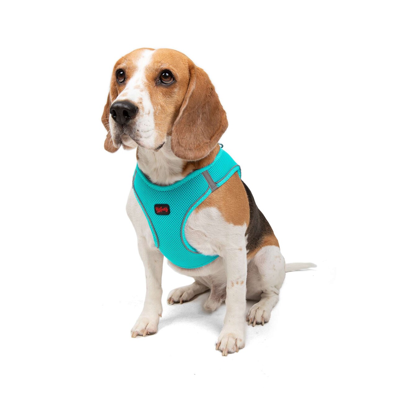 Ham pentru câini, Paws &amp; Whiskers, Air-Mesh, Poliester, Ocean - view 2