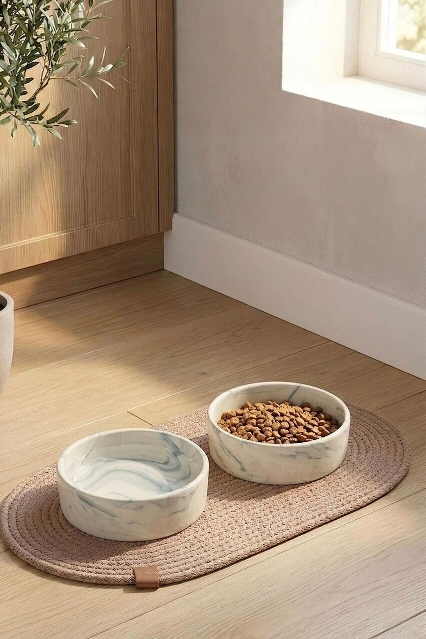 Set boluri pentru hrană pentru animale de companie (2 bucăți), Paws & Whiskers, Bowl, Ceramica, Turcoaz