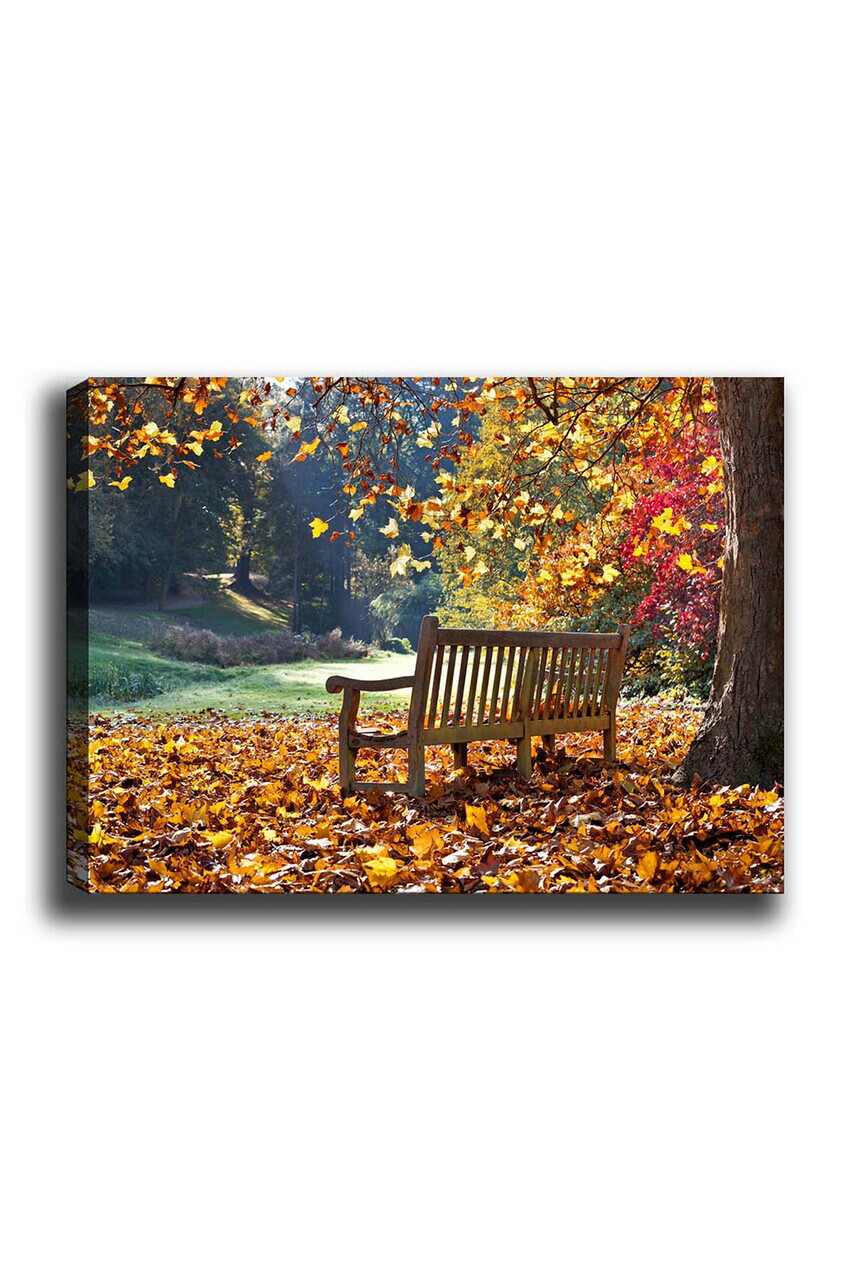 Tablou decorativ, Kanvas Tablo (50 x 70), Canvas, Rama din lemn (grosime 3 cm), Multicolor — imaginea 2