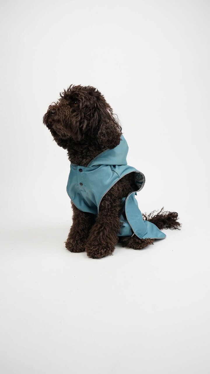 Hanorac pentru câini, Paws &amp; Whiskers, Daily Raincoat, Albastru - view 2
