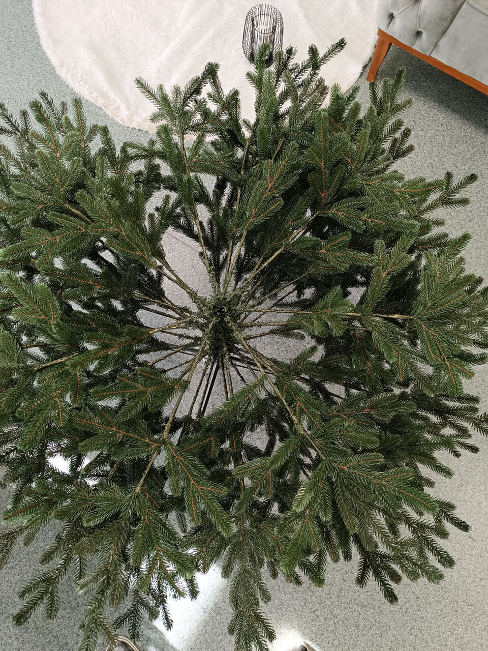Brad artificial Christmas Deluxe by Sersimo, Viena verde, 3D, 250cm — imaginea 8