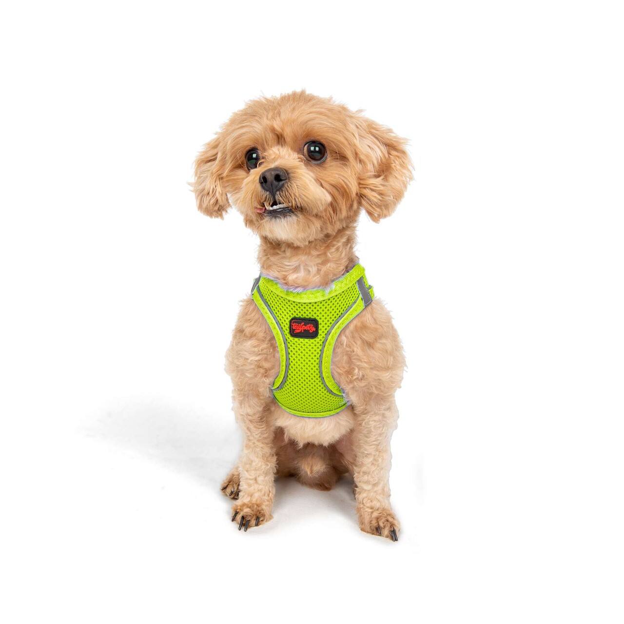 Ham pentru câini, Paws &amp; Whiskers, Air-Mesh, Poliester, Neo Lime - view 4
