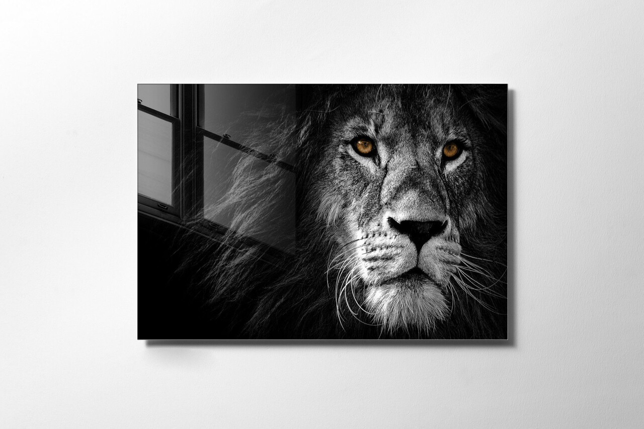 Tablou decorativ, UV-008, 70 x 100 cm, Multicolor - view 5