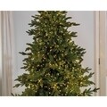 Instalatie Micro LED cu 8 functii Twinkle, Lumineo, 600 cm, 480 LED-uri, negru/lumina calda