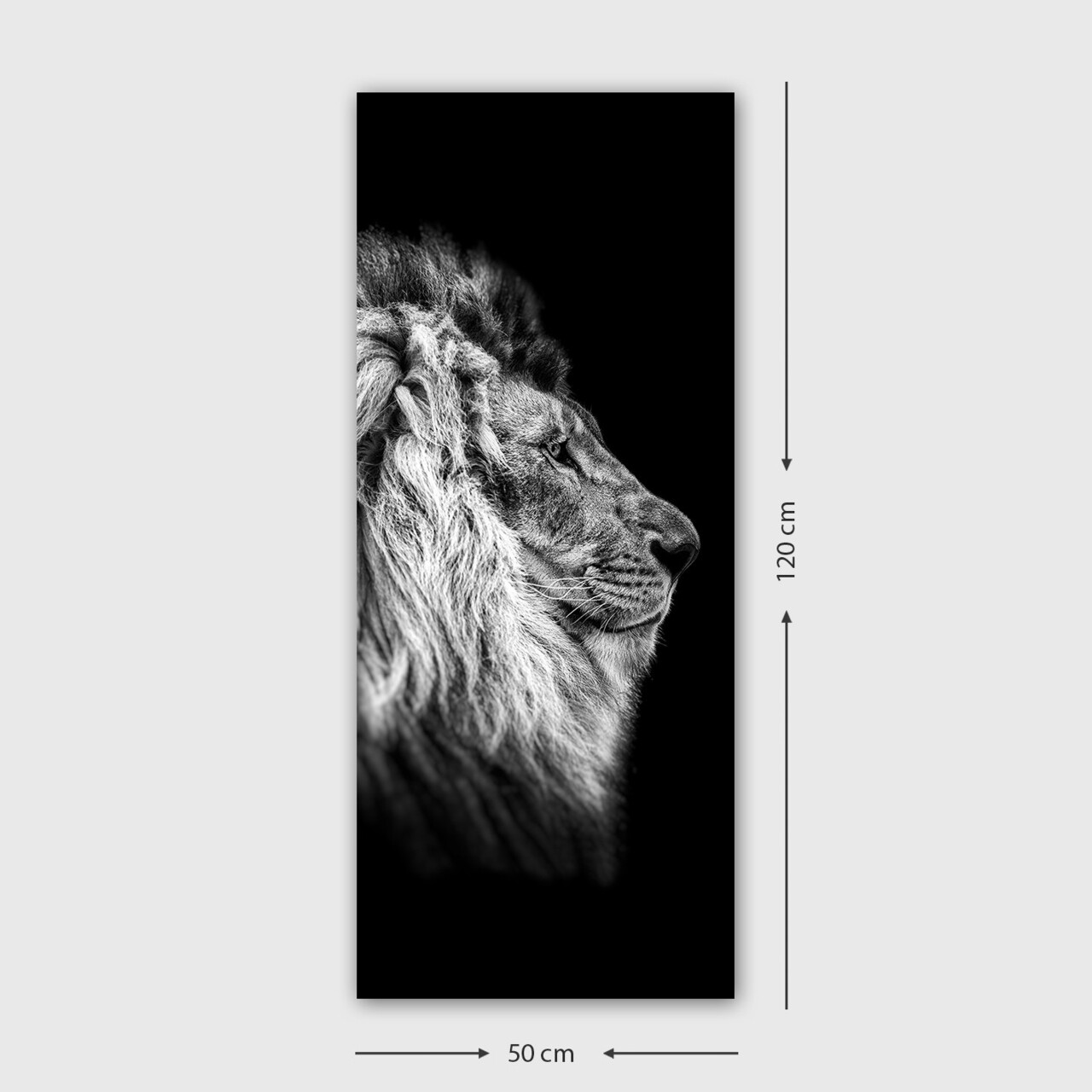 Tablou decorativ, DKY2590776598_50120, Cadru: 100% LEMN (grosime: 3 cm), Multicolor - view 3