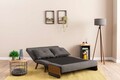 Canapea extensibilă cu 2 locuri, Futon, 859FTN2724, Metal , Gri inchis