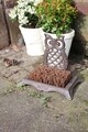 Perie pantofi, Esschert, Owl, 15.6 x 25.1 x 19.5 cm, fier forjat/lemn/fibra de cocos