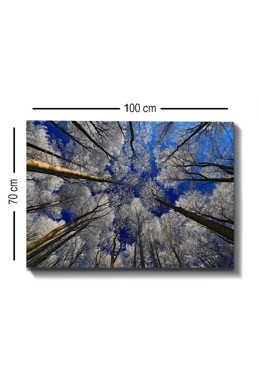 Tablou decorativ, Kanvas Tablo (70 x 100), Cadru: 100% LEMN (grosime: 3 cm), Multicolor - view 3