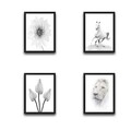 Set 4 tablouri decorative, White World Set, PAL, Hartie, Multicolor