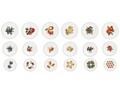 Serviciu de masa 18 piese, Brandani, Le Primizie Fresh Fruit, portelan New Bone China