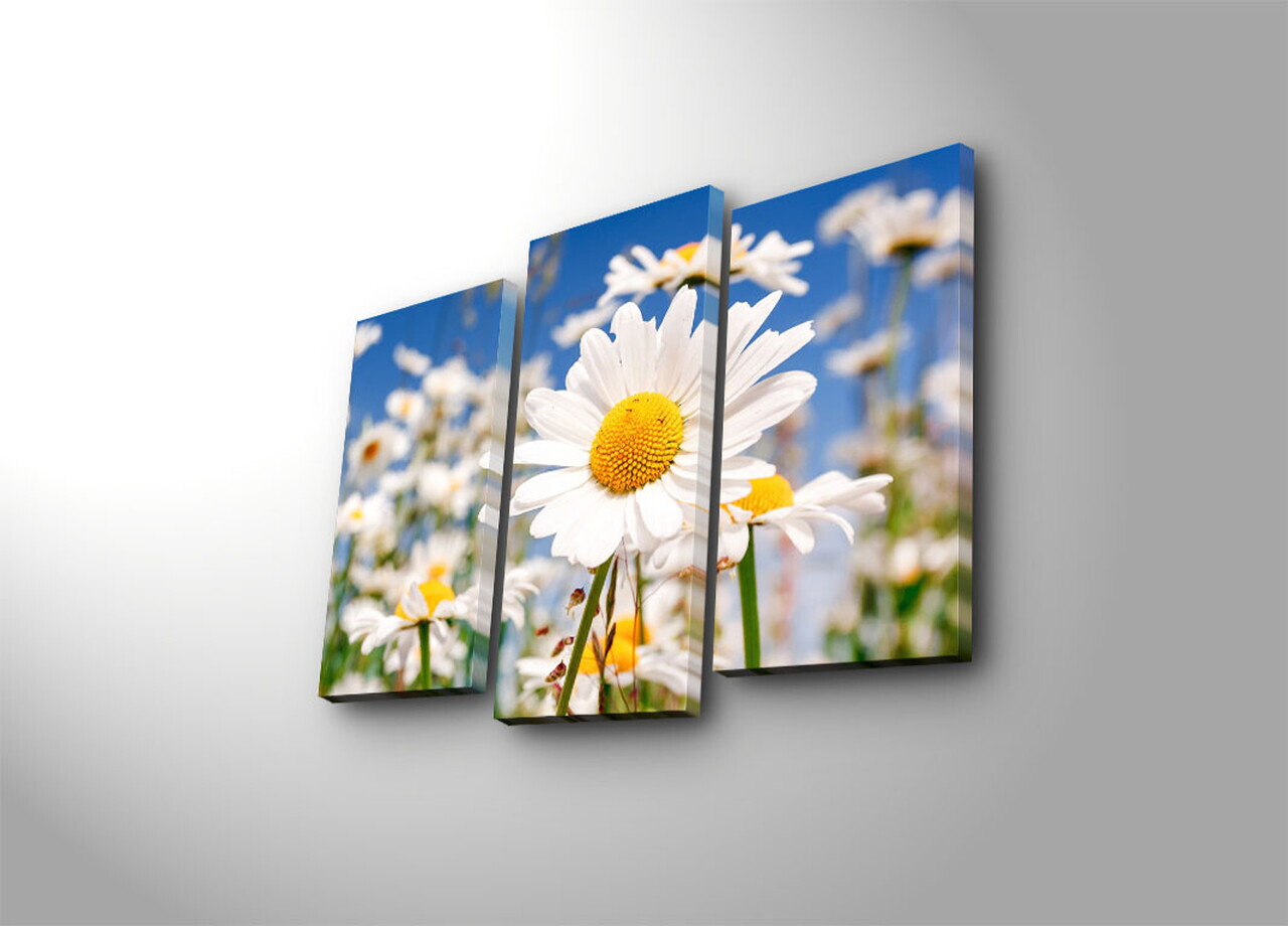 Tablou decorativ, 3NATPAT-23, PÂNZĂ DIN PIELE ÎNTOARSĂ, Rama din lemn (grosime 3 cm), Multicolor — imaginea 2
