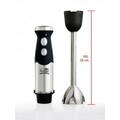 Blender vertical de mana FRITEL, HB 2870, 800W, otel inoxidabil, argintiu
