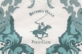 Lenjerie de pat pentru o persoana, 2 piese, 140x200 cm, 100% bumbac ranforce, Beverly Hills Polo Club, BHPC 024, verde