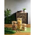 Recipient cu capac Jungle Small, Tognana Porcellane, 1030 ml, sticla, transparent