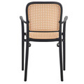 Scaun de gradina Juniper, Pakoworld, 56x52.5x86.5 cm, polipropilena cu protectie UV, negru/bej