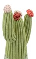 Figurina /sculptura decorativa Cactus, Mauro Ferretti, 10.5x6.5x20.5 cm, polirasina, multicolor