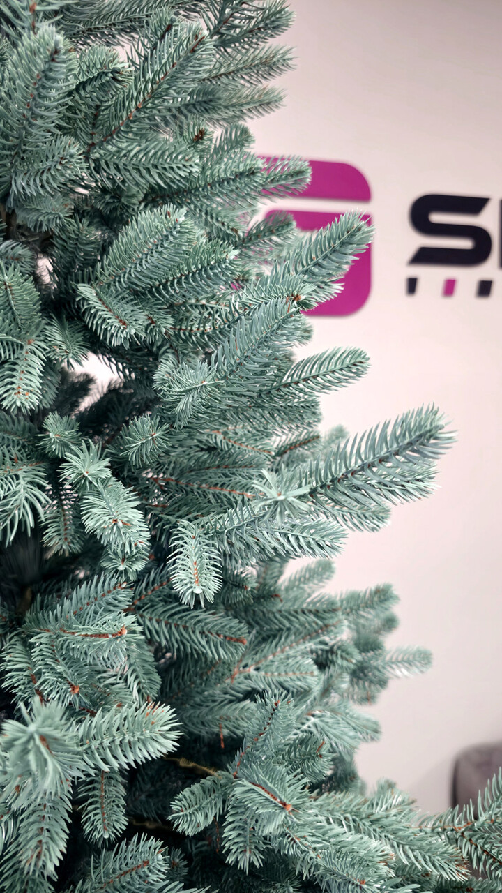 Brad artificial Christmas Deluxe by Sersimo, Viena Select argintiu, integral 3D, 210cm — imaginea 11