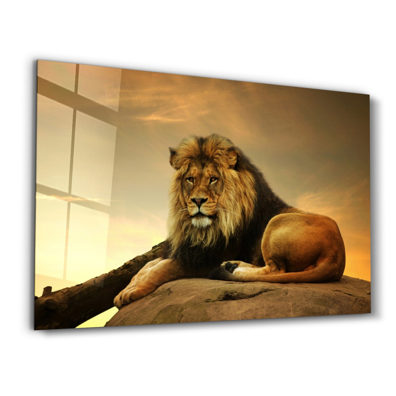 Tablou decorativ, OGLS-4027, Dimensiuni: 46 x 72 cm, Multicolor - view 5