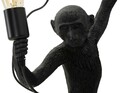 Aplica de perete Monkey, Mauro Ferretti, 1 x E27, 20W, 32x32x64 cm, polirasina, negru