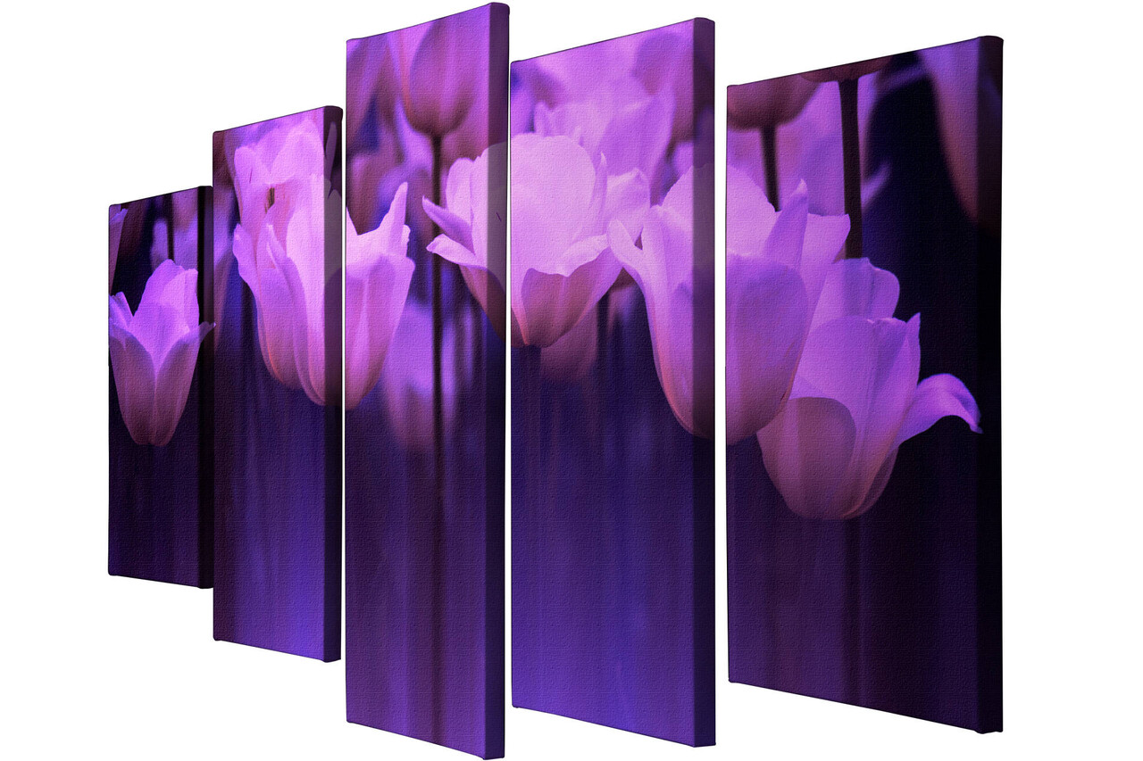 Set 5 tablouri decorative, BC004, 70 x 20 cm, Multicolor - view 3