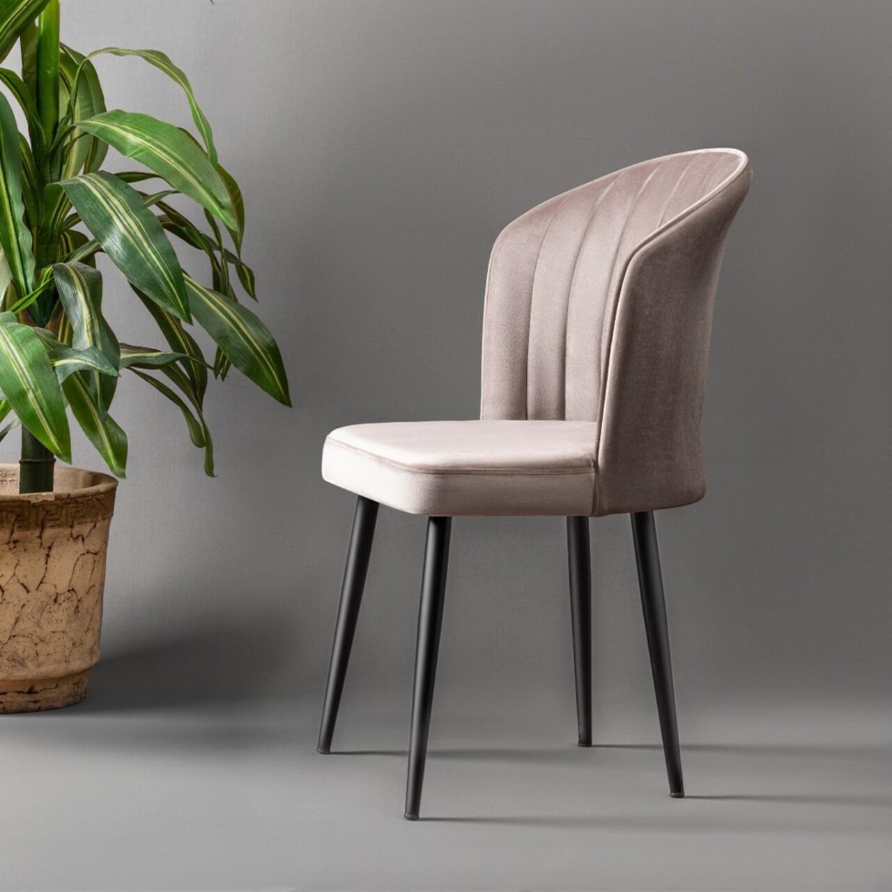 Set de scaune, Beckley, Rubi, MDF , Cappuccino / Negru - 2 | YEO
