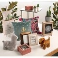 Lumanare Cactus with Pot, Versa, Ø8x10.3 cm, parafina