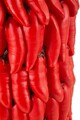 Suport ghiveci Chili, Mauro Ferretti, 20x34 cm, polirasina, rosu