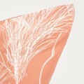 Lenjerie de pat King Size, Vanessa, Homla, 3 piese, 200x220 cm, microfibra din poliester, somon/alb