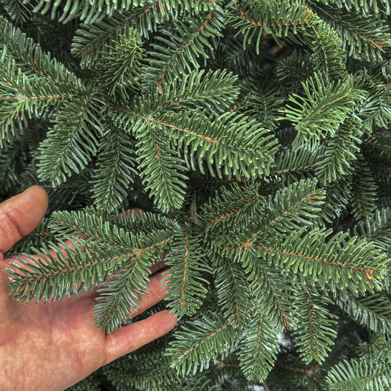 Brad artificial Christmas Deluxe by Sersimo, Canada verde, 3D, 210cm — imaginea 23