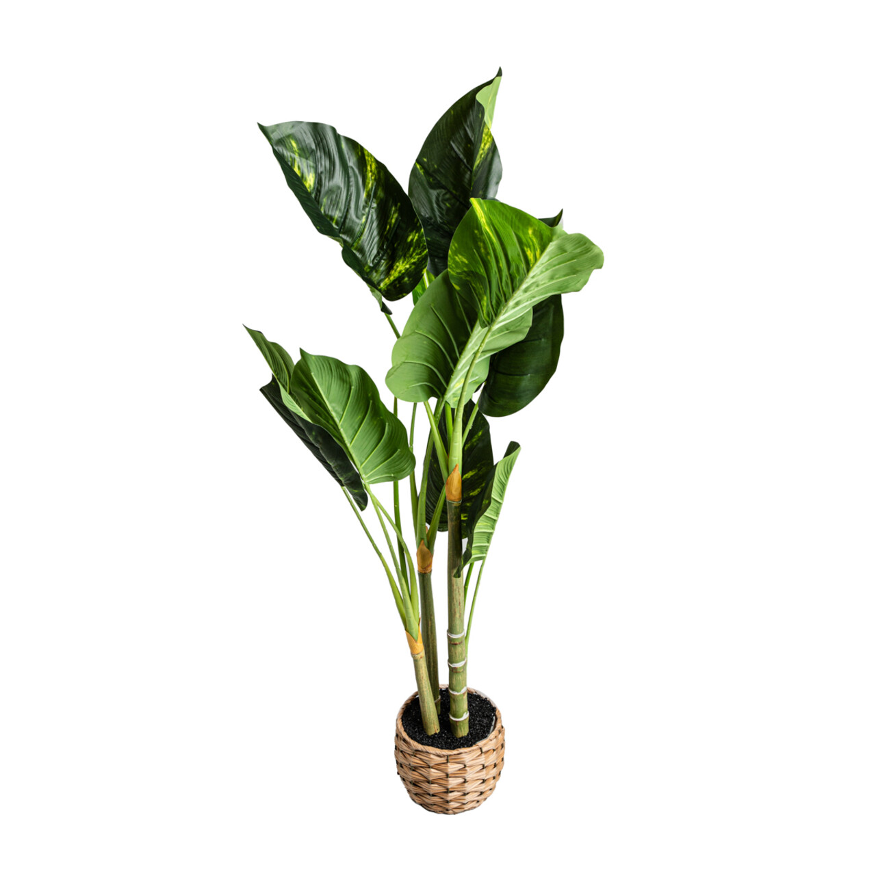 Planta artificiala B2 Difenbachia, Homla, 110 cm, plastic, verde/bej - imagine 2