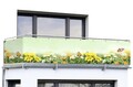 Folie paravan pentru balcon si gradina, Maximex, Butterfly, 500x85 cm, plastic, multicolor