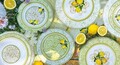Serviciu de masa 18 piese Limoni, Brandani, portelan New Bone China