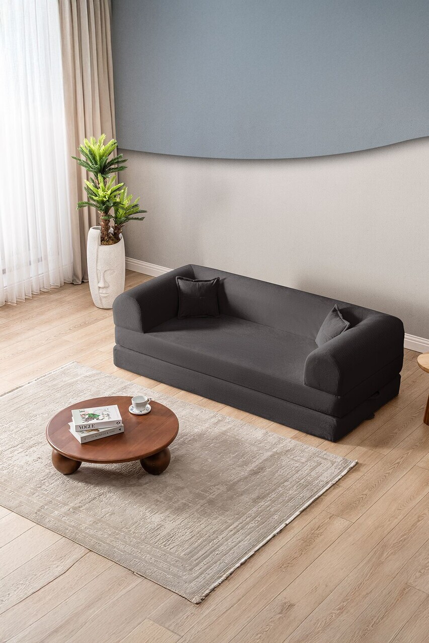 Canapea extensibila 3 locuri, Atelier del Sofa, 118FVL1306, Tesatura plus reiata, Antracit - view 3