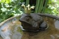 Decoratiune pentru gradina, Esschert, Frog with crown, 11.9 x 13.5 x 12.9 cm, fier forjat