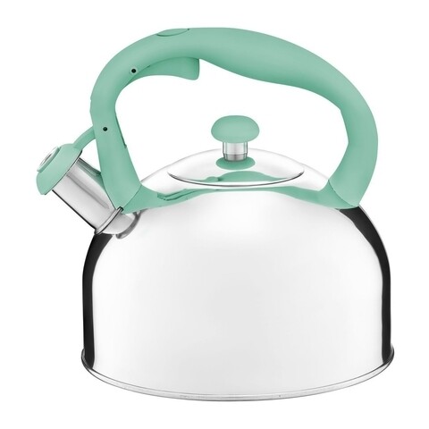 Ceainic cu maner colorat Garden, Ambition, 2.3 L, inox, verde