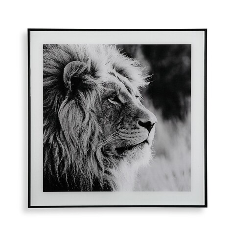 Tablou decorativ din sticla lion profile, versa, 50x50 cm