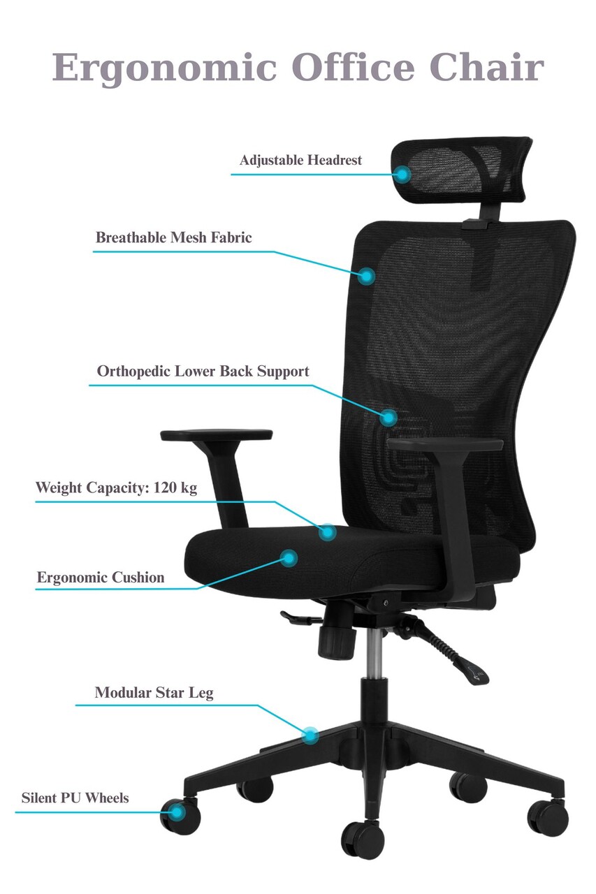 Set scaune de birou (2 piese), Hanah Home, Lumbar 126, Plastic, Negru - view 6
